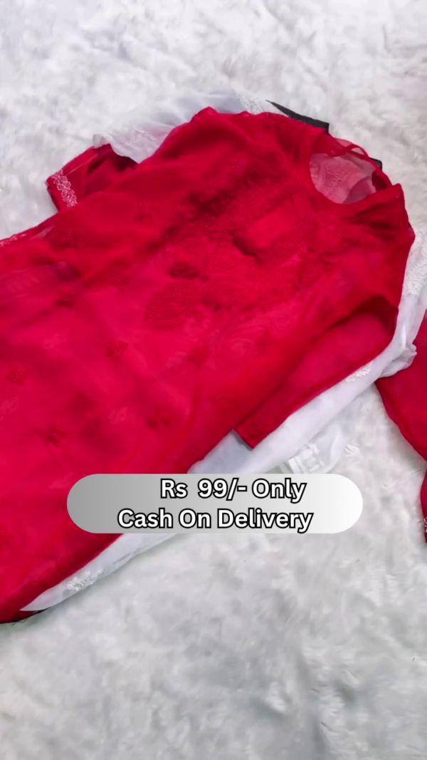 Elegant Sheer Embroidered Kurti for Women – Delicate Net Fabric | Available in 4 Colors - Image 4