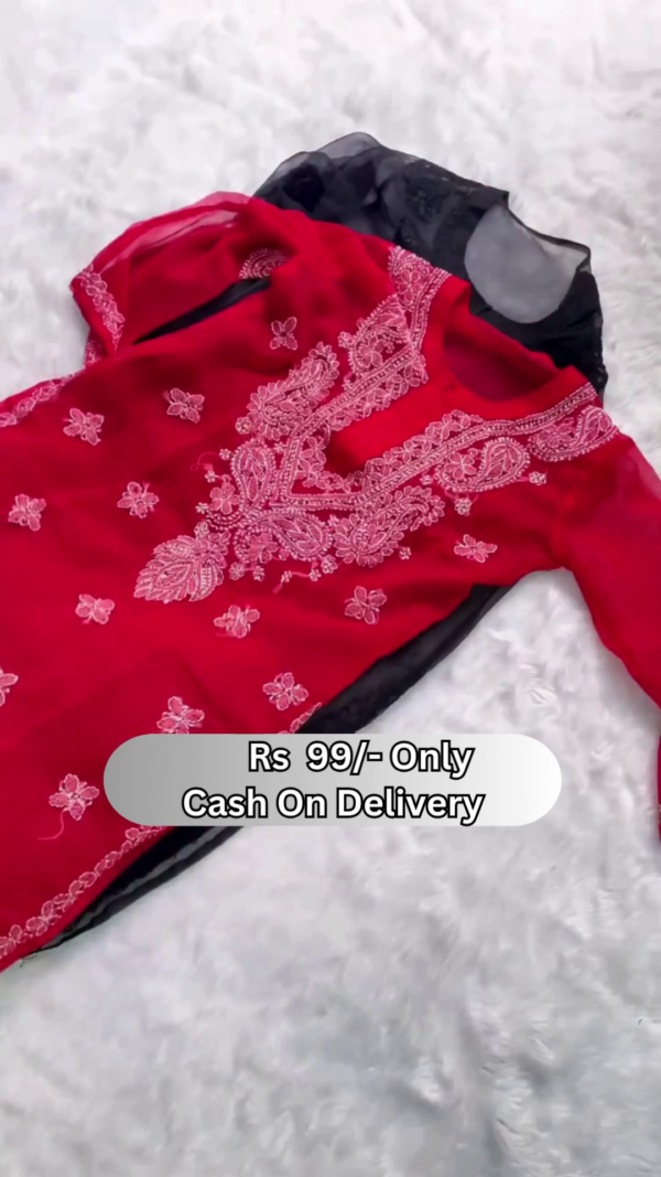 Elegant Sheer Embroidered Kurti for Women – Delicate Net Fabric | Available in 4 Colors - Image 3
