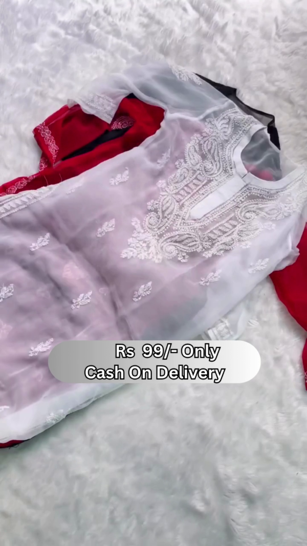 Elegant Sheer Embroidered Kurti for Women – Delicate Net Fabric | Available in 4 Colors - Image 2