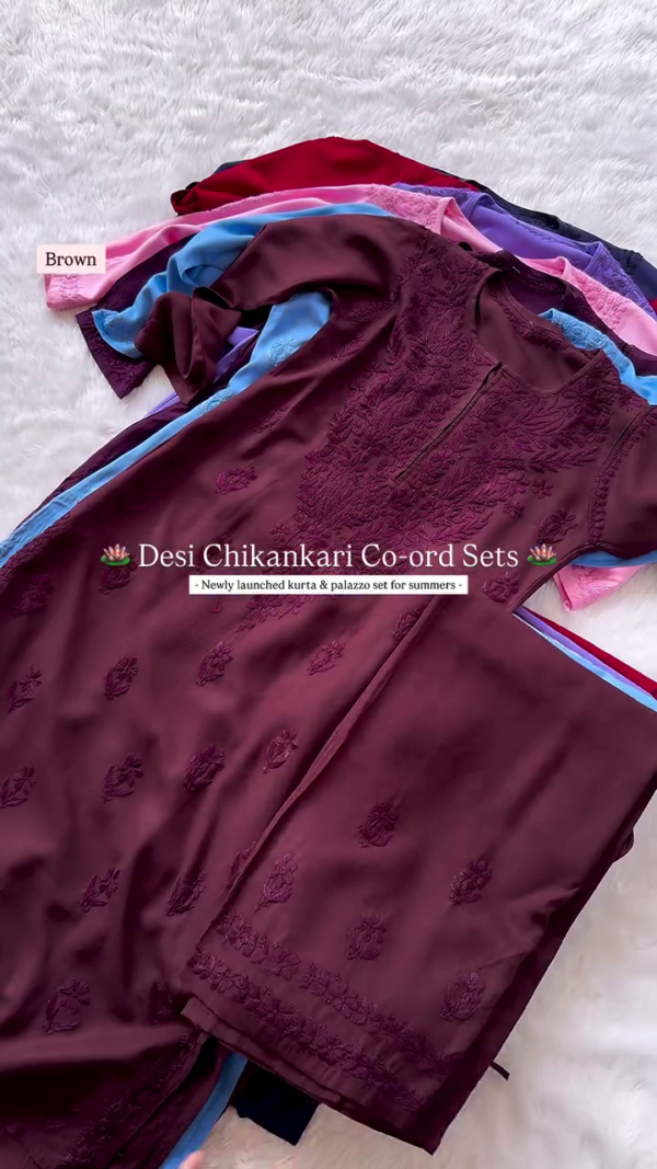 Elegant Chikankari Kurta & Palazzo Co-ord Set for Summer – Traditional Desi Look (6 Colors) - Image 7