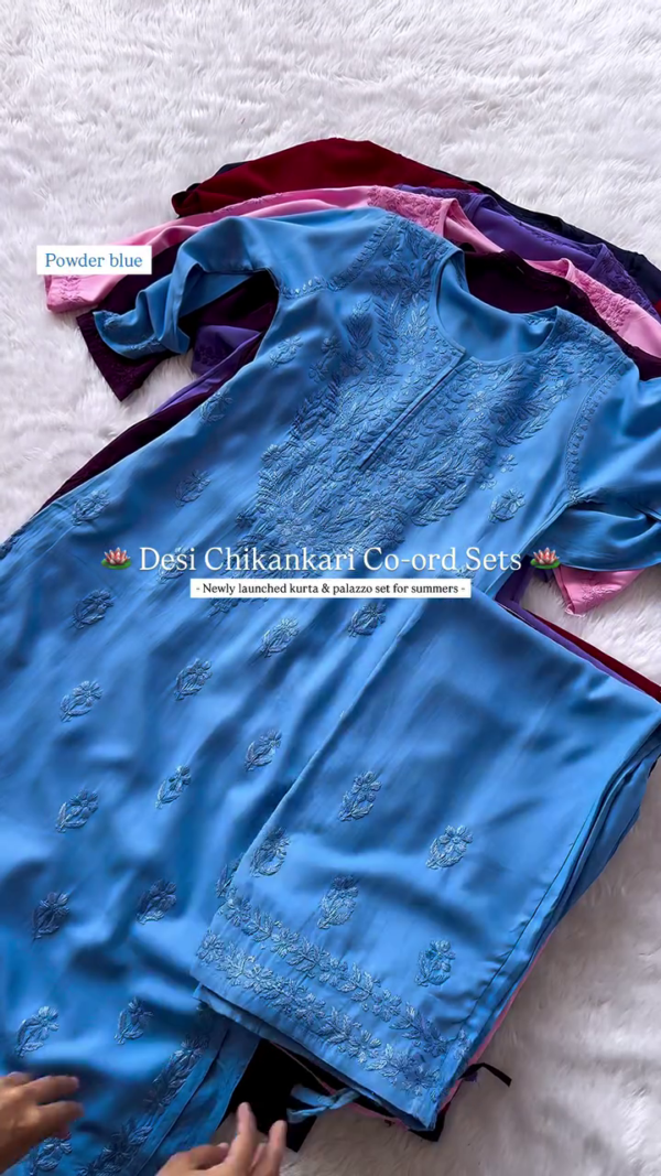 Elegant Chikankari Kurta & Palazzo Co-ord Set for Summer – Traditional Desi Look (6 Colors) - Image 2