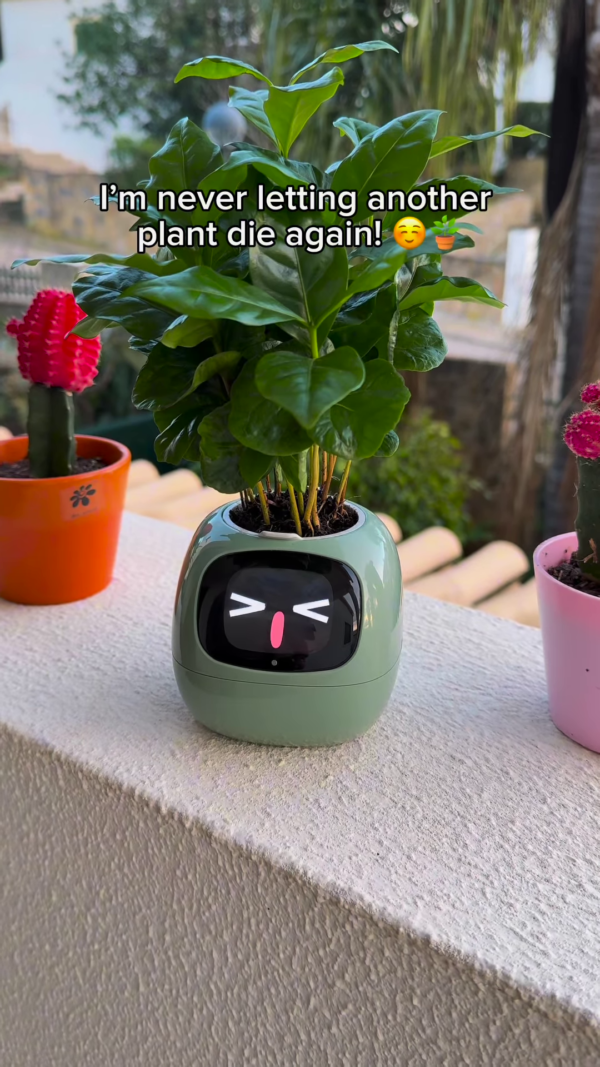Smart Self-Care Planter – Digital Pot with Built-In Clock, Weather & Plant Health Display - Image 4
