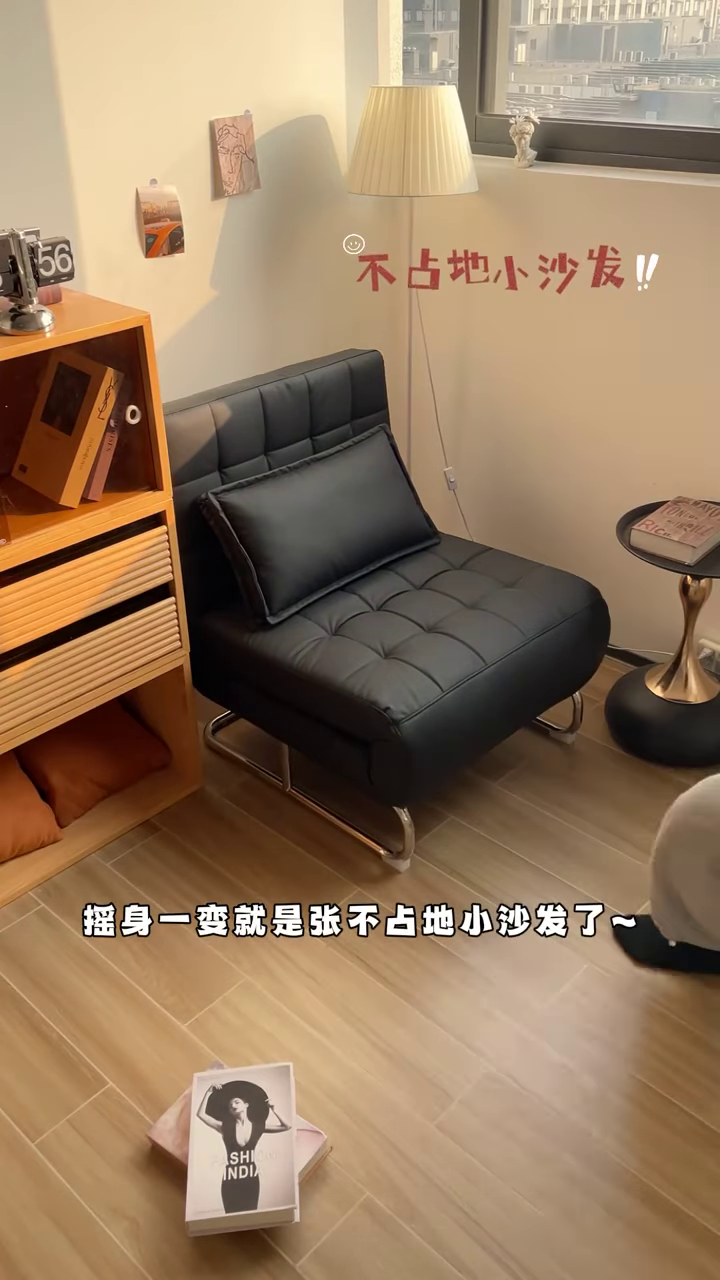 ποΈ Transform Your Space with This 2-in-1 Foldable Sofa Bed! π€